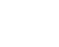 Berchem Logo